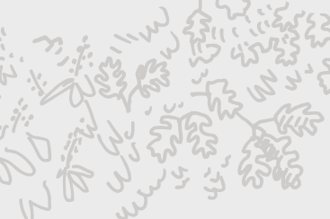 Lorem ipsum dolor