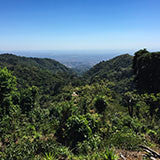 A visit to Onyx in Guatemala