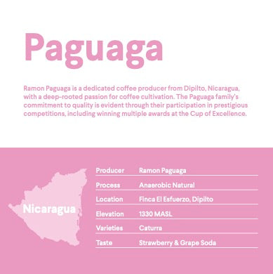 Paguaga