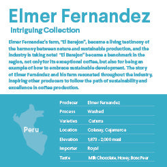 Elmer Fernadez