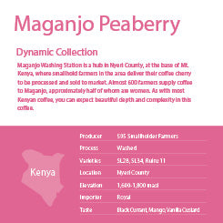 Maganjo Peaberry