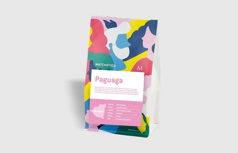 Paguaga